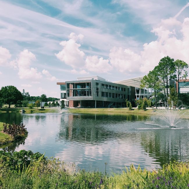 Campus virtual Ucc