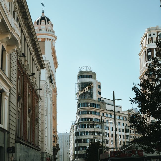 capital salud citas médicas